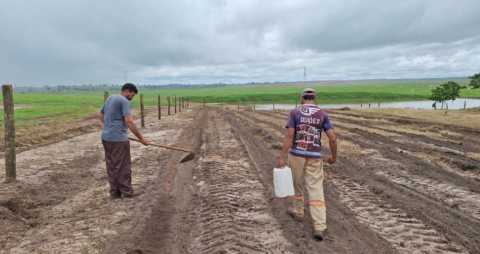 Iniciativa Caminhos da Semente promove restauração ecológica com plantio de sementes nativas na Fazenda Campanelli